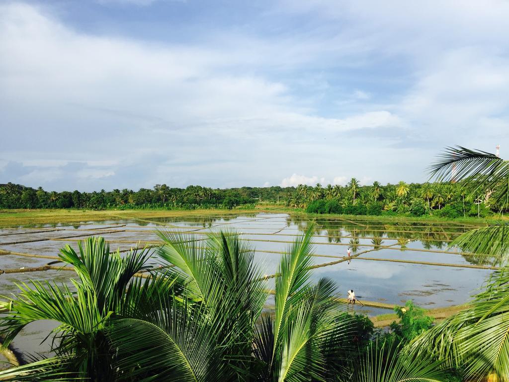 Rice Field View Home Stay Tangalle Cameră foto